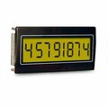 Trumeter 8 DIG LCD CNTR B/L LCD Counter HED261-T